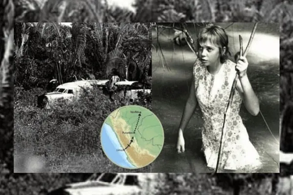 Copa densa de árboles en la selva amazónica peruana que amortiguó la caída de Juliane Koepcke en 1971