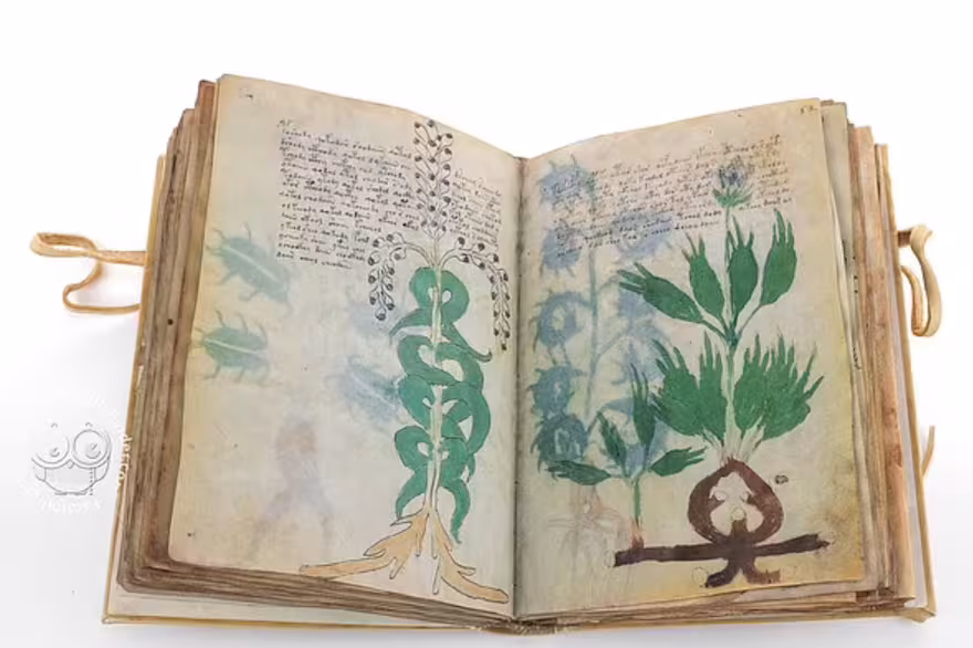 El Manuscrito Voynich: El código que nadie puede descifrar